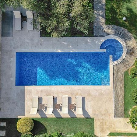 Villa Zen Port Petrovac Exteriör bild