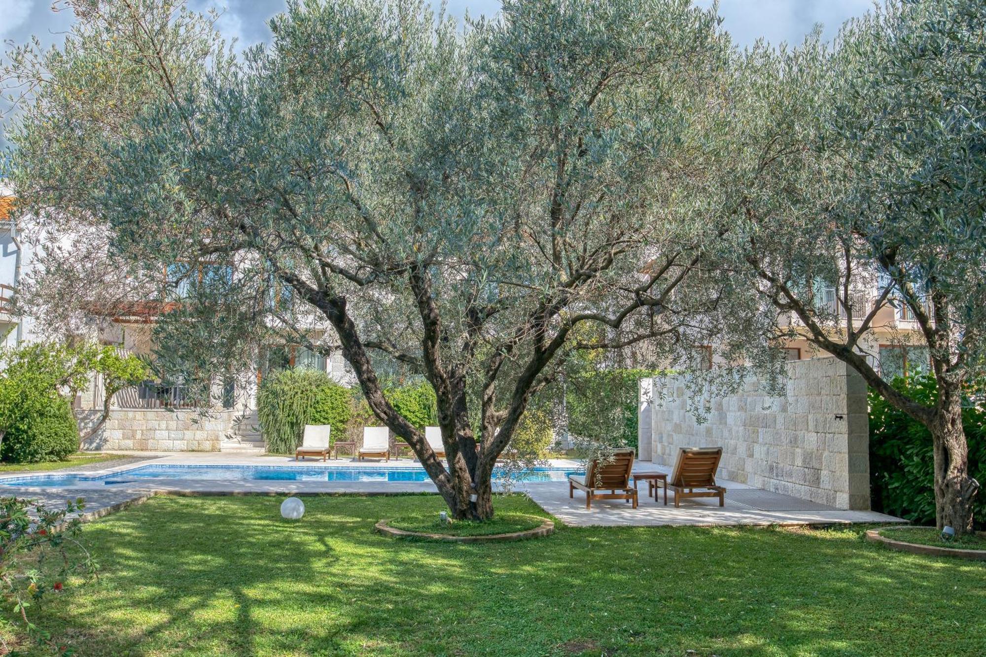 Villa Zen Port Petrovac Exteriör bild